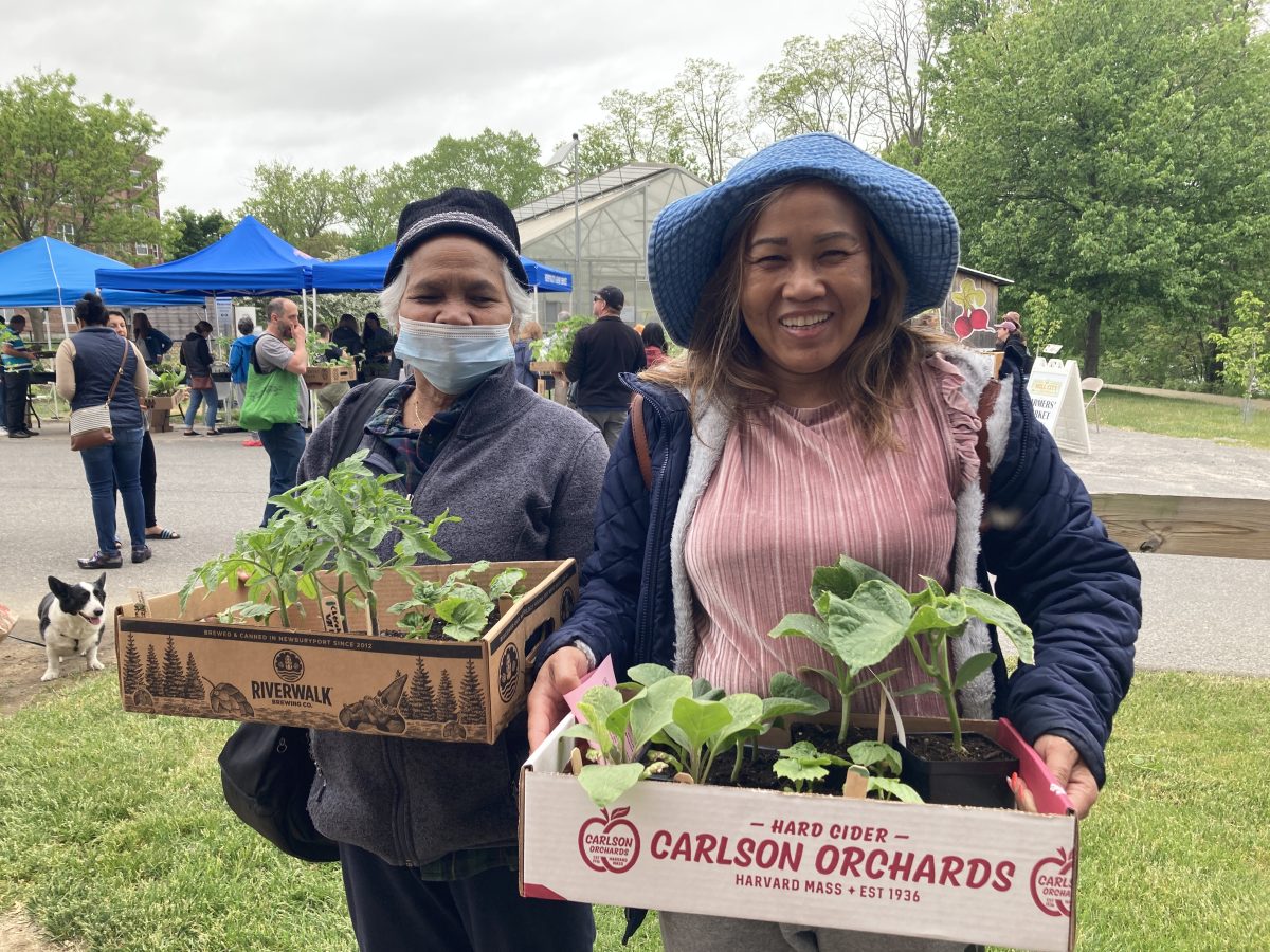 An image representing Mill City Grows Annual Spring Plant Sale
