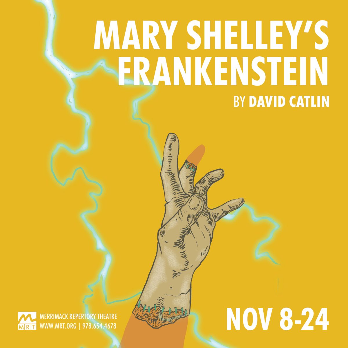 An image representing Mary Shelley’s Frankenstein by David Catlin