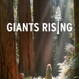 2026 Eco-film Series: June Screening- Giants Rising