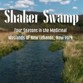 2026 Eco-film Series: May Screening- Shaker Swamp