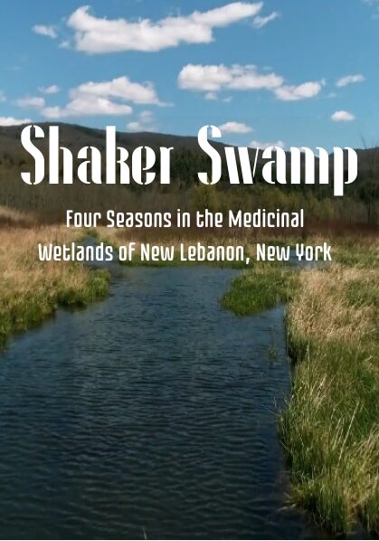 An image representing 2026 Eco-film Series: May Screening- Shaker Swamp