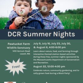 DCR Summer Nights