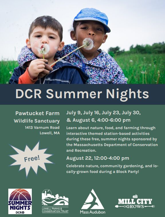 An image representing DCR Summer Nights