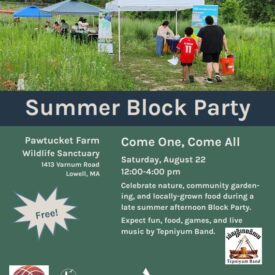 Summer Block Party