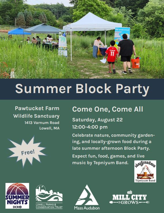 An image representing Summer Block Party